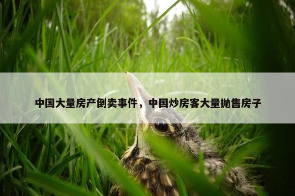中国大量房产倒卖事件，中国炒房客大量抛售房子
