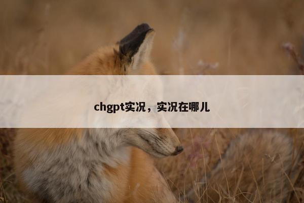 chgpt实况，实况在哪儿