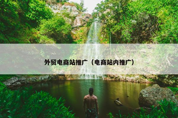外贸电商站推广（电商站内推广）