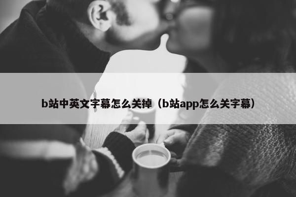 b站中英文字幕怎么关掉（b站app怎么关字幕）