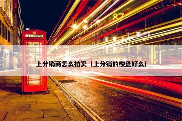 上分销商怎么拍卖（上分销的楼盘好么）