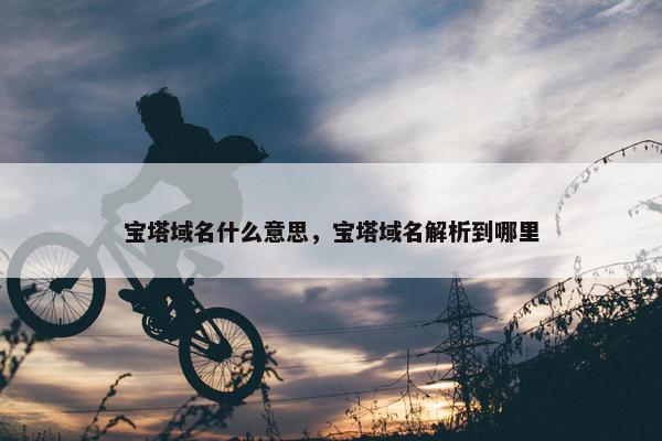 宝塔域名什么意思，宝塔域名解析到哪里
