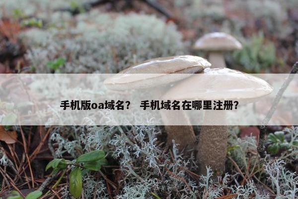 手机版oa域名？ 手机域名在哪里注册？