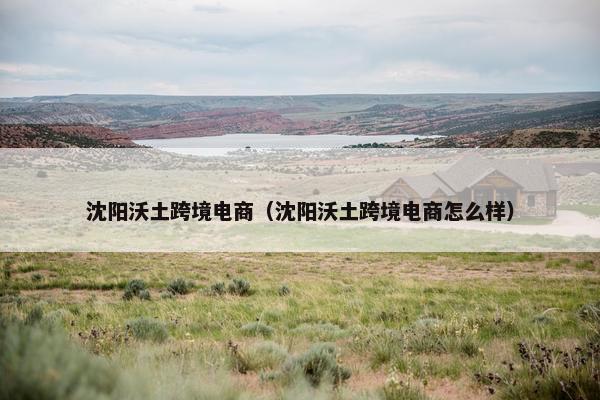 沈阳沃土跨境电商（沈阳沃土跨境电商怎么样）