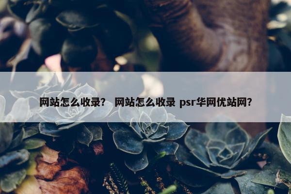 网站怎么收录？ 网站怎么收录 psr华网优站网？