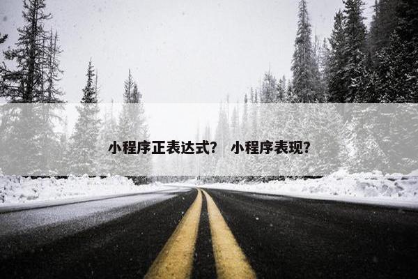 小程序正表达式？ 小程序表现？