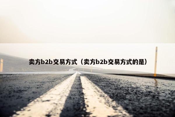 卖方b2b交易方式（卖方b2b交易方式的是）
