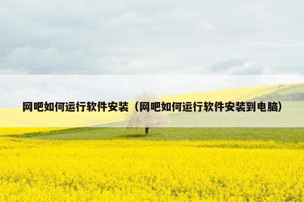 网吧如何运行软件安装（网吧如何运行软件安装到电脑）