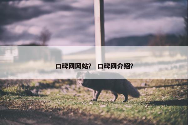 口碑网网站？ 口碑网介绍？