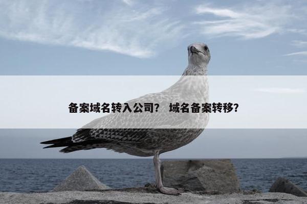 备案域名转入公司？ 域名备案转移？