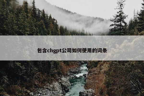 包含chgpt公司如何使用的词条