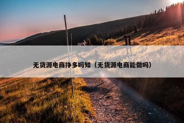 无货源电商挣多吗知（无货源电商能做吗）