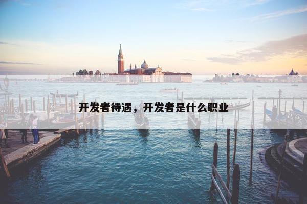 开发者待遇，开发者是什么职业