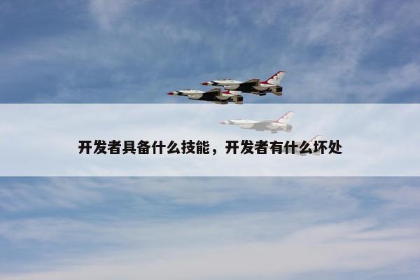开发者具备什么技能，开发者有什么坏处