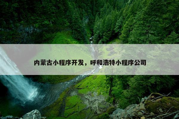 内蒙古小程序开发，呼和浩特小程序公司