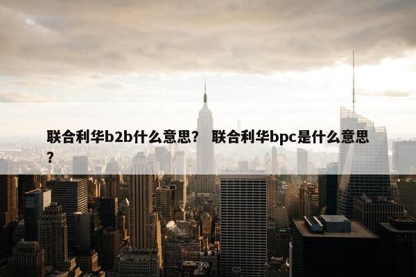 联合利华b2b什么意思？ 联合利华bpc是什么意思？