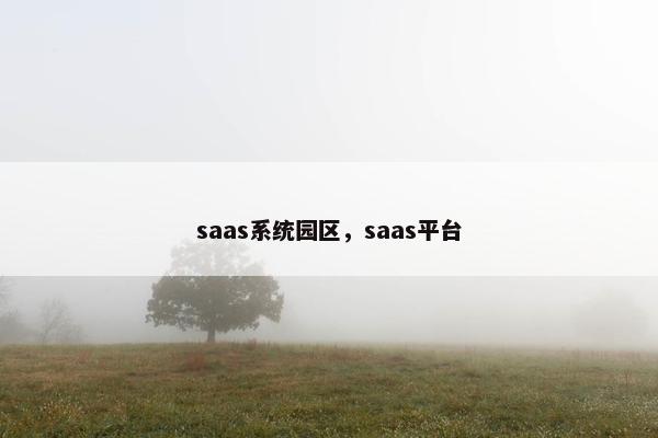 saas系统园区，saas平台