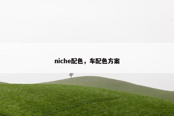 niche配色，车配色方案