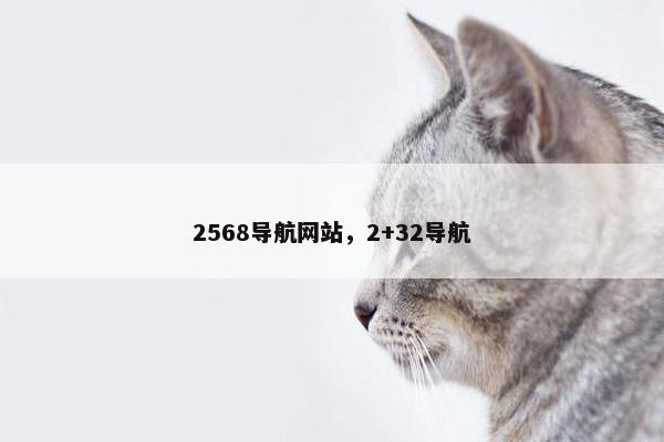 2568导航网站，2+32导航