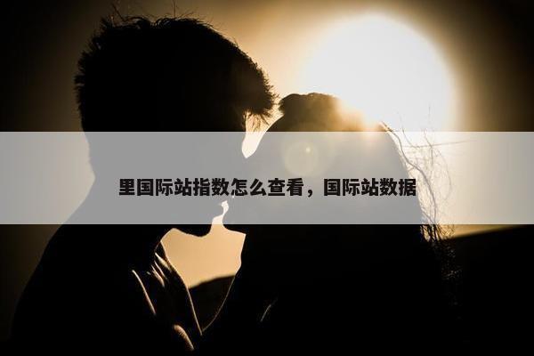 里国际站指数怎么查看，国际站数据