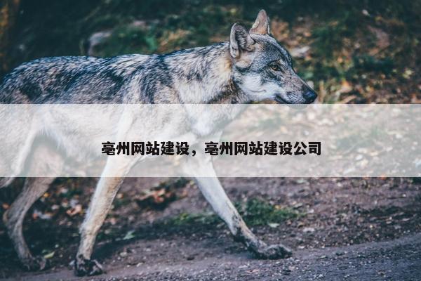 亳州网站建设，亳州网站建设公司
