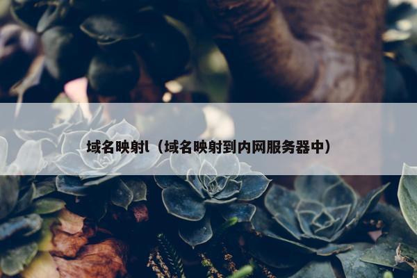 域名映射l（域名映射到内网服务器中）