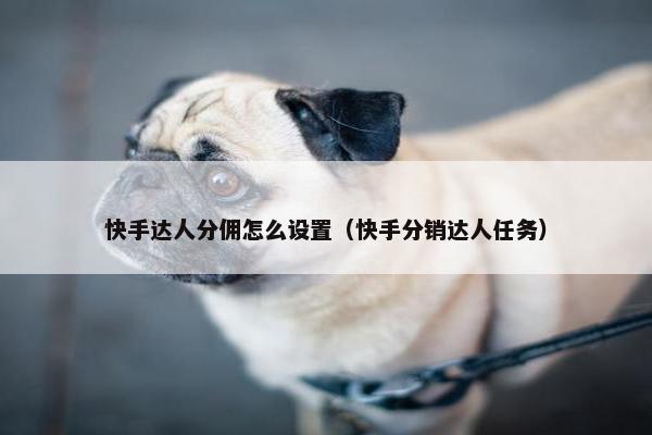 快手达人分佣怎么设置（快手分销达人任务）