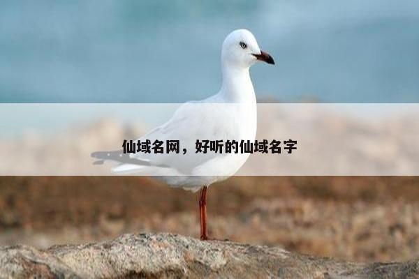 仙域名网，好听的仙域名字