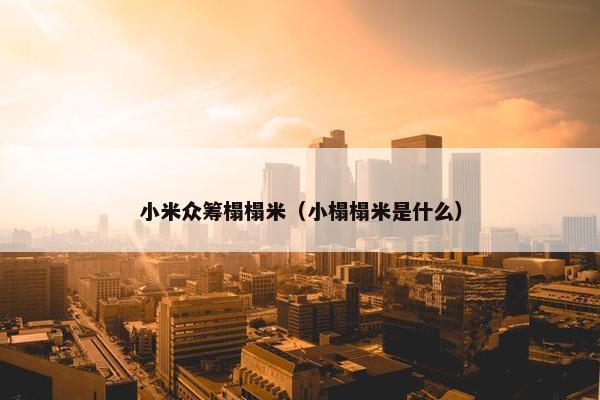 小米众筹榻榻米（小榻榻米是什么）