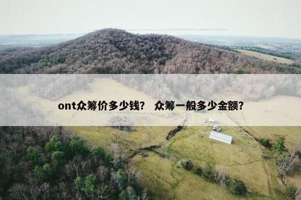 ont众筹价多少钱？ 众筹一般多少金额？