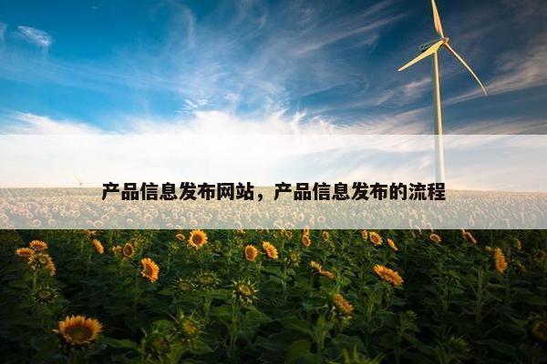 产品信息发布网站，产品信息发布的流程