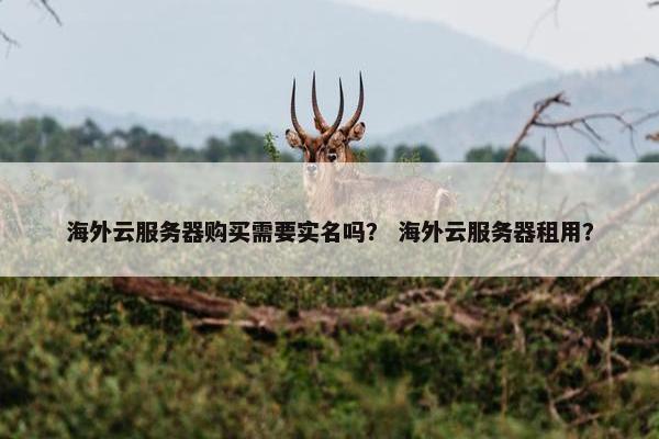 海外云服务器购买需要实名吗？ 海外云服务器租用？