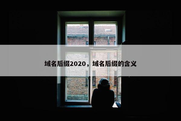 域名后缀2020，域名后缀的含义