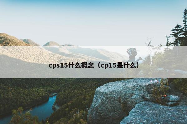 cps15什么概念（cp15是什么）