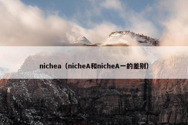 nichea（nicheA和nicheA一的差别）