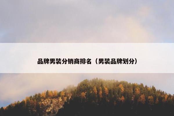 品牌男装分销商排名（男装品牌划分）