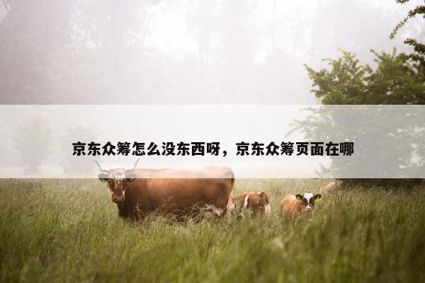 京东众筹怎么没东西呀，京东众筹页面在哪