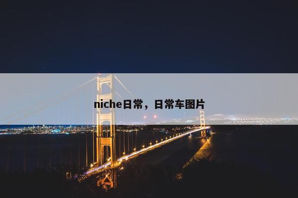 niche日常，日常车图片