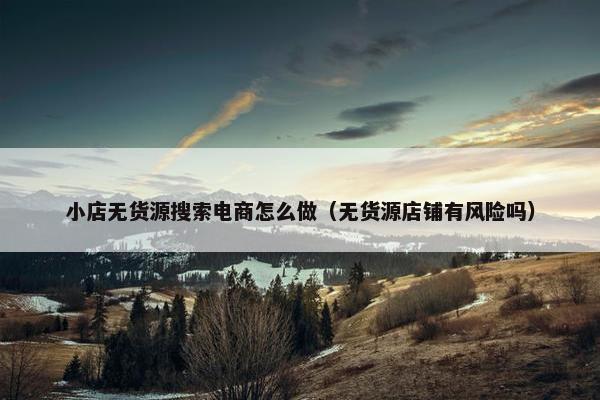 小店无货源搜索电商怎么做（无货源店铺有风险吗）