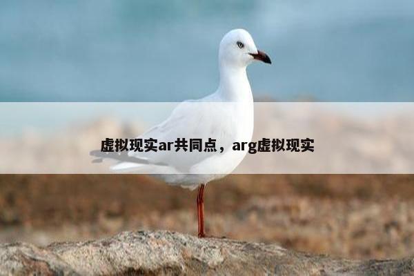 虚拟现实ar共同点，arg虚拟现实