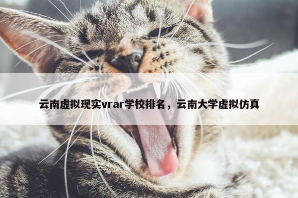 云南虚拟现实vrar学校排名，云南大学虚拟仿真