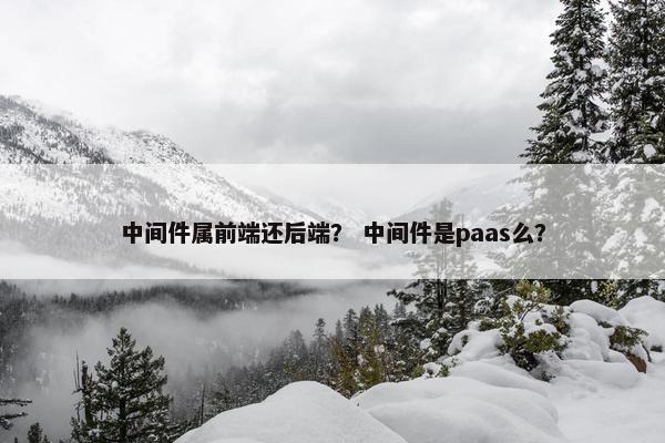中间件属前端还后端？ 中间件是paas么？