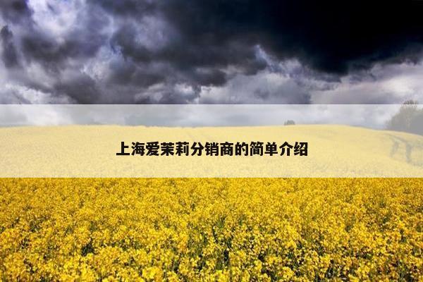 上海爱茉莉分销商的简单介绍