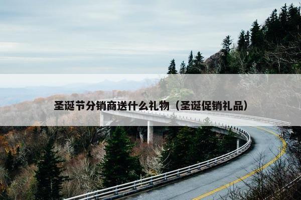 圣诞节分销商送什么礼物（圣诞促销礼品）
