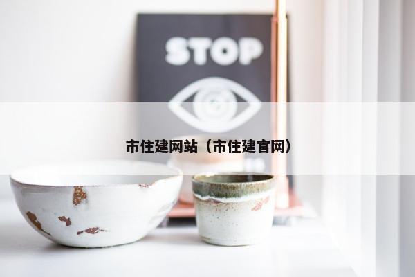 市住建网站（市住建官网）