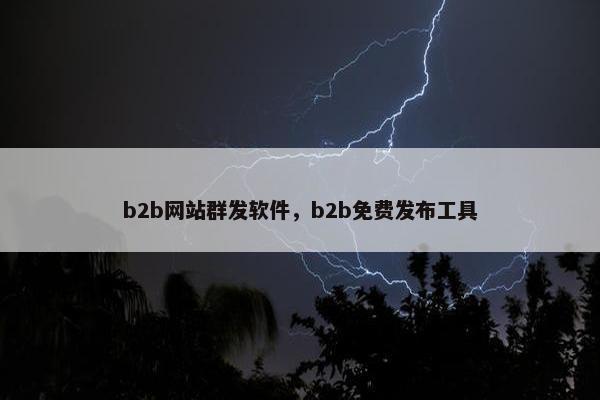 b2b网站群发软件，b2b免费发布工具