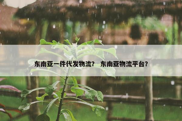 东南亚一件代发物流？ 东南亚物流平台？