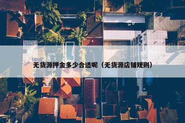 无货源押金多少合适呢（无货源店铺规则）