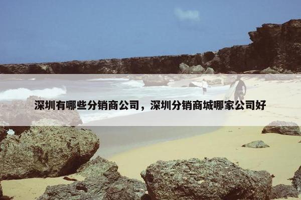 深圳有哪些分销商公司，深圳分销商城哪家公司好
