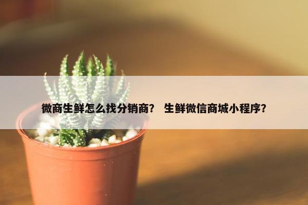 微商生鲜怎么找分销商？ 生鲜微信商城小程序？